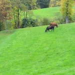 Ca Du Bensa Parazzuolo