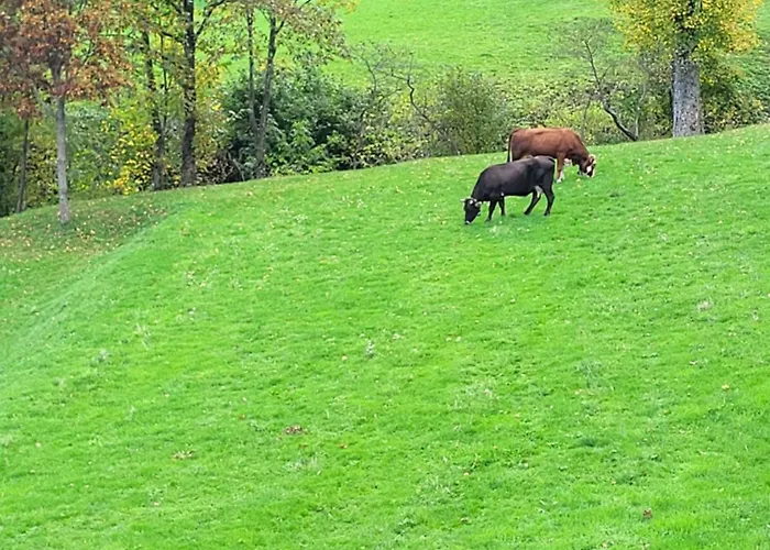 Ca Du Bensa Parazzuolo