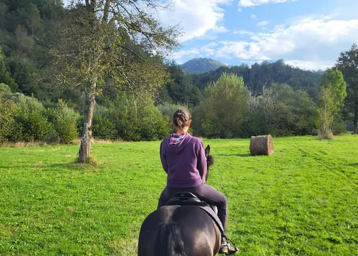 Ca Du Bensa Διαμέρισμα *