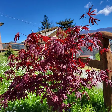 Ca Du Bensa Parazzuolo